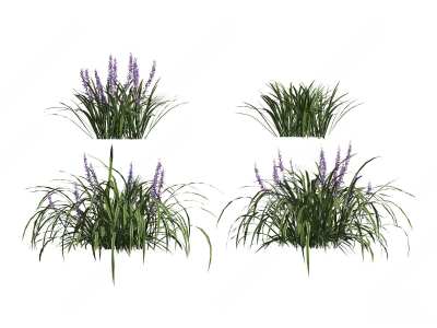 现代花草花卉3D模型下载
